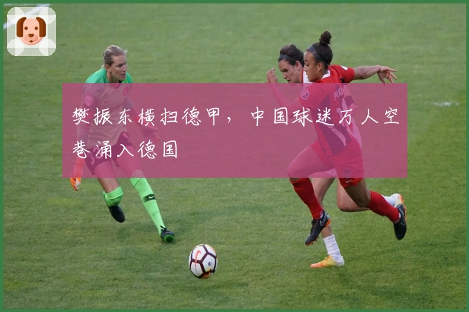 樊振东横扫德甲，中国球迷万人空巷涌入德国