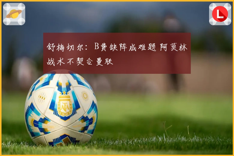 舒梅切尔：B费缺阵成难题 阿莫林战术不契合曼联