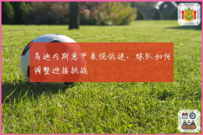 乌迪内斯意甲表现低迷,球队如何调整迎接挑战