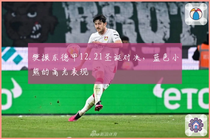 樊振东德甲12.21圣诞对决，蓝色小熊的高光表现