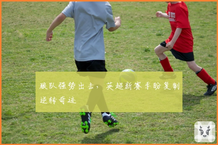 狼队强势出击,英超新赛季盼复制逆转奇迹