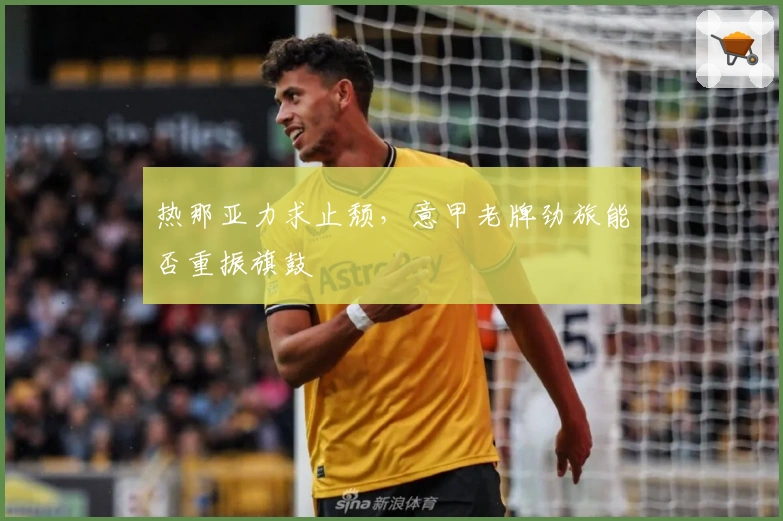 热那亚力求止颓，意甲老牌劲旅能否重振旗鼓