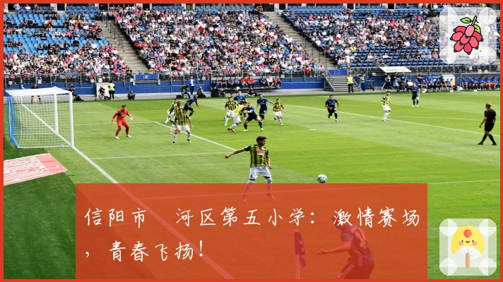 信阳市浉河区第五小学：激情赛场，青春飞扬！