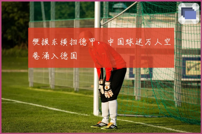 樊振东横扫德甲，中国球迷万人空巷涌入德国